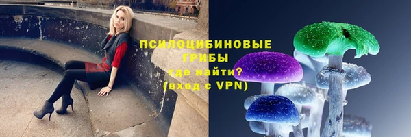 соль ск Богородицк