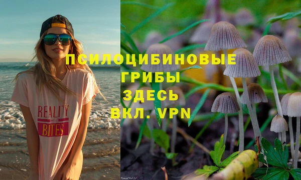 COCAINE Богородск