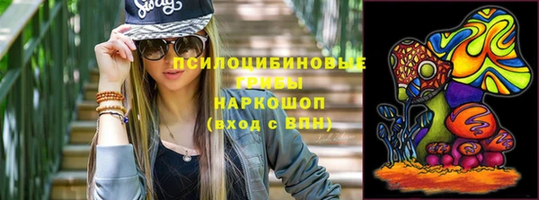 соль ск Богородицк