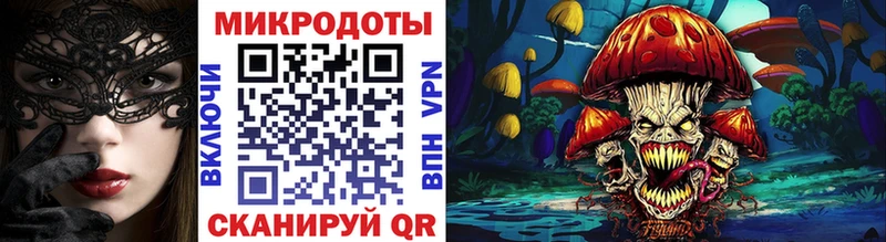 Псилоцибиновые грибы мицелий  Княгинино 